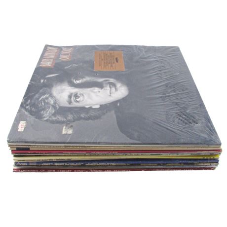 Large Vinyl Record Lot