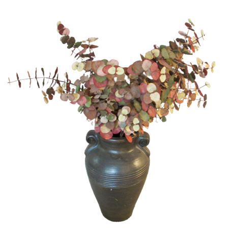 Pier 1 Black Plant Holder