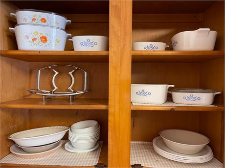 Kitchen Cabinet Buy Out #1