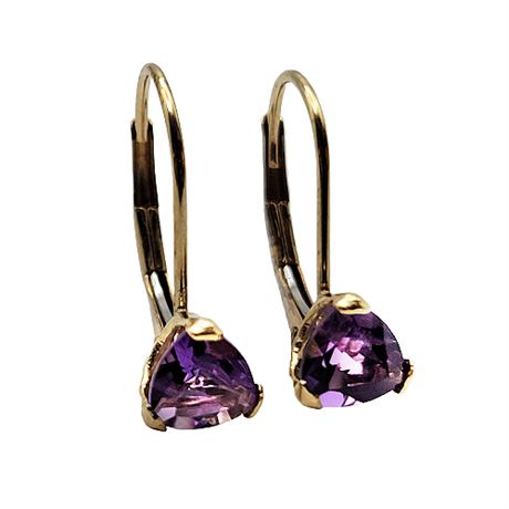Rare Gems of Earth 14K Gold Amethyst Earrings