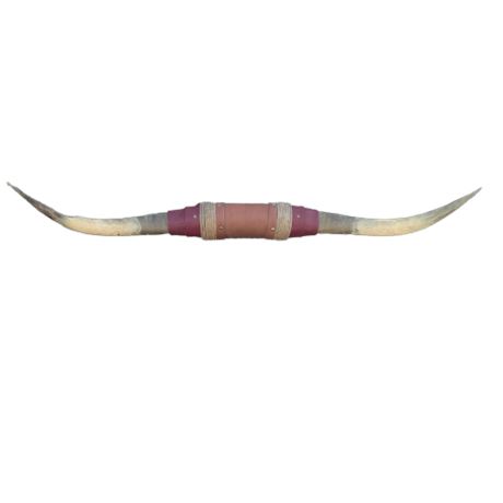 Large 51” Wild West Longhorn Steer Mounted Horns