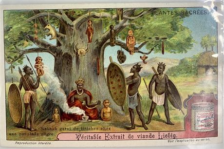 1911 “Sacred Plants” Compagnie Liebig Bouillon Antique Trade Card Set