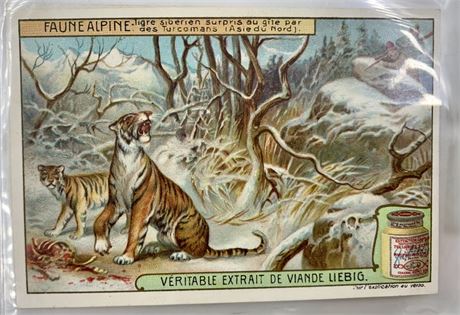 1909 “Mountain Animals” Faune Alpine Liebig Bouillon Antique Trade Card Set