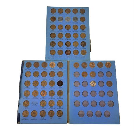 Large Penny Lot